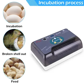 12 Eggs Automatic Farm Hatchery Incubator Poultry Chicken Brooder Machine Eggs Incubator Bird Quail Brooder 1PCS New Arrival
12 Eggs Automatic Farm Hatchery Incubator Poultry Chicken Brooder Machine Eggs Incubator Bird Quail Brooder 1PCS New Arrival