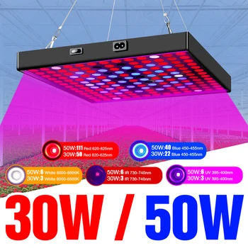 30W 50W LED Growth Lamp 220V LED Plants Light Bulb Full Spectrum Phyto Lamp Fitolampy For Greenhouse Cultivate Seedlings Flower
30W 50W LED Growth Lamp 220V LED Plants Light Bulb Full Spectrum Phyto Lamp Fitolampy For Greenhouse Cultivate Seedlings Flower