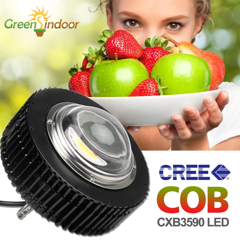 CXB3590 COB LED Grow Light 100W Full Spectrum Plant Growth Lamp For Plants Indoor Growing Fitolampy CXB2530 3500K Flower Seeding
CXB3590 COB LED Grow Light 100W Full Spectrum Plant Growth Lamp For Plants Indoor Growing Fitolampy CXB2530 3500K Flower Seeding