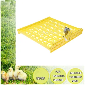 220V 56-egg Auto Egg Turner Tray Egg Incubator Turner Hatcher Brooder for
220V 56-egg Auto Egg Turner Tray Egg Incubator Turner Hatcher Brooder for