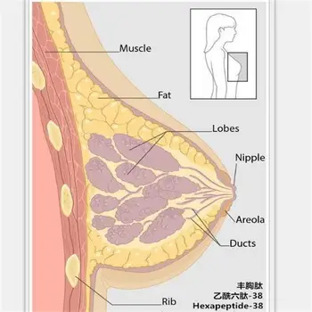 50mg Cosmetic Grade Raw Material acetyl hexapeptide-38 Breast Enhancement Peptide Anti Aging Ageless 98%
50mg Cosmetic Grade Raw Material acetyl hexapeptide-38 Breast Enhancement Peptide Anti Aging Ageless 98%