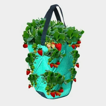 3GAL Hanging Vegetable Flower Planting Strawberry Grow Bag Non-woven 10Pockets Accelerate Natural Root Growth
3GAL Hanging Vegetable Flower Planting Strawberry Grow Bag Non-woven 10Pockets Accelerate Natural Root Growth