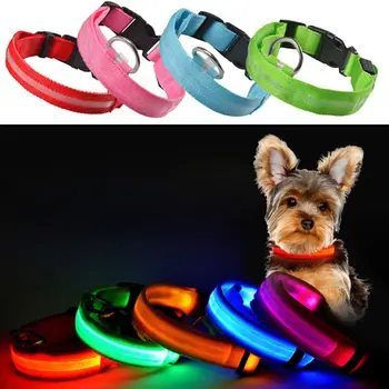 Perfect LED Pet Collar Flashing Luminous Adjustable Safety Light Up Nylon Tag Retractable Dog Leash Nightlight Neck Ring
Perfect LED Pet Collar Flashing Luminous Adjustable Safety Light Up Nylon Tag Retractable Dog Leash Nightlight Neck Ring
