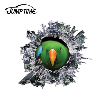 Jump Time 13cm x 12.2cm 3D eclectus roratus Window Decal Glass Slag Decal Reflective Stickers Waterproof Car Styling Bird Decals
Jump Time 13cm x 12.2cm 3D eclectus roratus Window Decal Glass Slag Decal Reflective Stickers Waterproof Car Styling Bird Decals