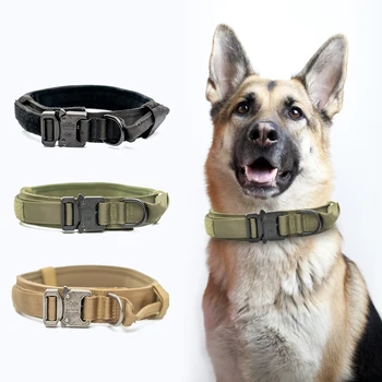 Dog collar Heavy Duty Tactical Adjustable Pets Dog Collars Leash Control with Handle Training Cat Dog Collar For Small Large Dog
Dog collar Heavy Duty Tactical Adjustable Pets Dog Collars Leash Control with Handle Training Cat Dog Collar For Small Large Dog