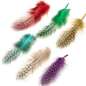 Polka Dot Dyed Guinea Hen Plumage Feathers for Crafts Pearl Spotted Pheasant Feathers for Clothes Plumas Carnaval Feather Decor
Polka Dot Dyed Guinea Hen Plumage Feathers for Crafts Pearl Spotted Pheasant Feathers for Clothes Plumas Carnaval Feather Decor