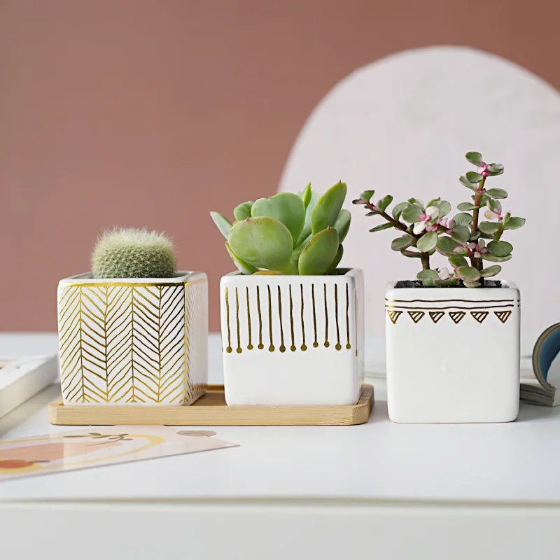 A Set of 4 Square Ceramic Flowerpots with Golden Patterns, Stripes, Lines and Patterns White Plant Pots Plant Pot Flower Pot
A Set of 4 Square Ceramic Flowerpots with Golden Patterns, Stripes, Lines and Patterns White Plant Pots Plant Pot Flower Pot