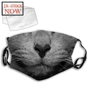 Mask Cat Printed Fashion Face Mask With Filter For Outdoor Reusable Mouth Masks Washable Face Cover Mascarilla Reutilizable
Mask Cat Printed Fashion Face Mask With Filter For Outdoor Reusable Mouth Masks Washable Face Cover Mascarilla Reutilizable