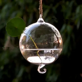 12pcs/pack Diameter=8cm Small Size Two-Hock Glass Terrarium Vase Hanging Glass Ball Party Decorative Water Plant Glass Vase
12pcs/pack Diameter=8cm Small Size Two-Hock Glass Terrarium Vase Hanging Glass Ball Party Decorative Water Plant Glass Vase