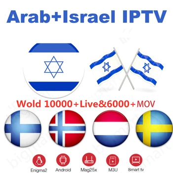italy iptv M3u Subscription for iptv Italy German Mediaset Premium For Android Box Enigma2 Smart TV PC Linux