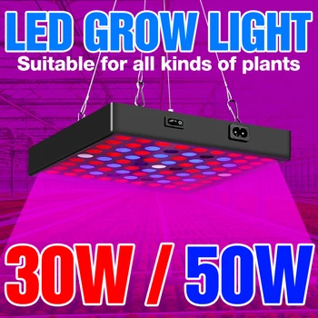 BiaRiTi Plant Grow Light LED Full Spectrum Seedling Fito Lamp EU US UK Plug Flower Hydroponics Phyto Light 30W 50W Seed Lampada
BiaRiTi Plant Grow Light LED Full Spectrum Seedling Fito Lamp EU US UK Plug Flower Hydroponics Phyto Light 30W 50W Seed Lampada