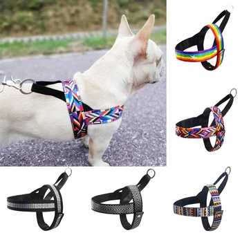 Dog Harness Adjustment Colorful No-Pull Chest Strap Vest For Small Medium Dogs Puppy Outdoor Training Walking Vest Harness Set
Dog Harness Adjustment Colorful No-Pull Chest Strap Vest For Small Medium Dogs Puppy Outdoor Training Walking Vest Harness Set