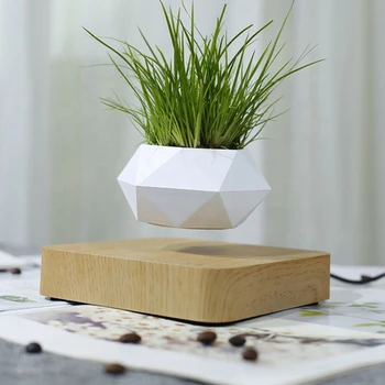 netic Suspension Flower Pot Levitating Air Bonsai Pot Plant Pot Succulent Pot Patio Decoration
netic Suspension Flower Pot Levitating Air Bonsai Pot Plant Pot Succulent Pot Patio Decoration