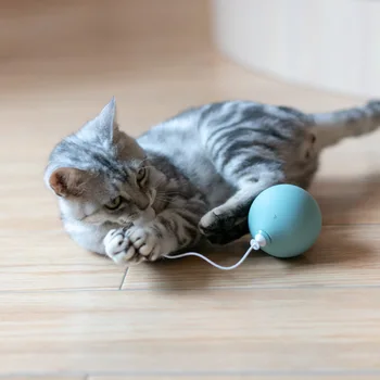 Cat Toy Online Celebrity Tumbler Automatic Play with Cat Maker Cat-related Products Electric Cat Teaser Cat Toy Self Hi
Cat Toy Online Celebrity Tumbler Automatic Play with Cat Maker Cat-related Products Electric Cat Teaser Cat Toy Self Hi