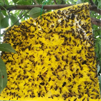 Double-Sided Bug Fly Stickers Glue Board Adhesive Traps Yellow Sticky Insect Catcher Disposable Sticky Flycatchers
Double-Sided Bug Fly Stickers Glue Board Adhesive Traps Yellow Sticky Insect Catcher Disposable Sticky Flycatchers