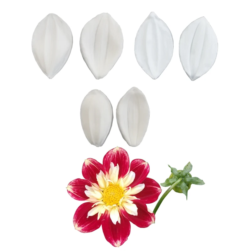 Dahlia Veiners Silicone Mould Cake Decorating Molds Cake Gumpaste Molds Cake Chocolate Tools M2178
Dahlia Veiners Silicone Mould Cake Decorating Molds Cake Gumpaste Molds Cake Chocolate Tools M2178