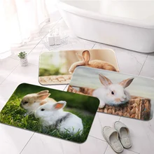 Cute little white rabbit Printed Flannel Floor Mat Bathroom Decor Carpet Non-Slip For Living Room Kitchen welcome Doormat
Cute little white rabbit Printed Flannel Floor Mat Bathroom Decor Carpet Non-Slip For Living Room Kitchen welcome Doormat
