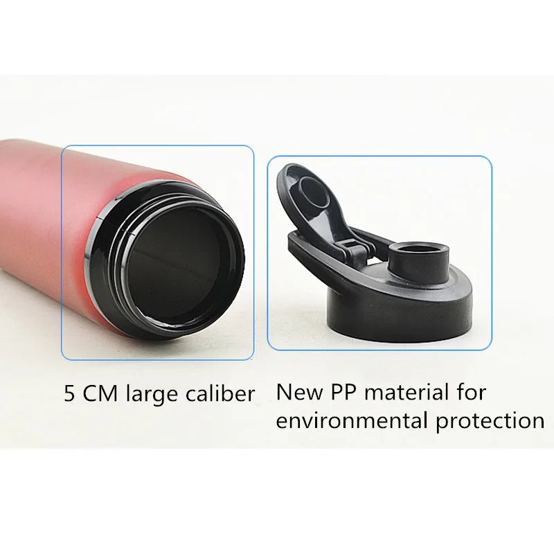 4564246813_728824836_