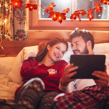 Autumn Artificial Plant String Light Maple Leaves Garland Festive Party DIY Fairy Lamps Christmas Halloween Holiday Lighting
Autumn Artificial Plant String Light Maple Leaves Garland Festive Party DIY Fairy Lamps Christmas Halloween Holiday Lighting