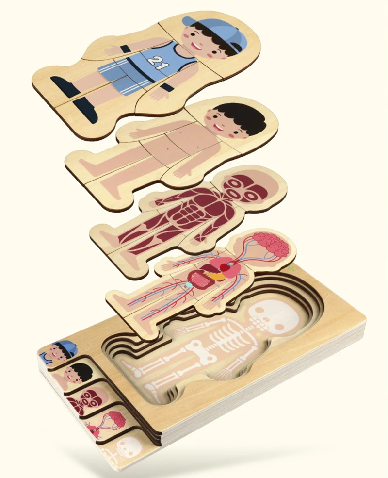 Montessori Wooden Body Puzzle Educational Toy for Kids Learning Anatomy
