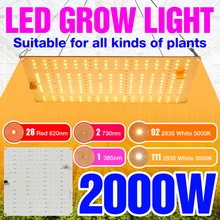 LED Plant Light 220V Full Spectrum Phyto Grow Lamp LED Growth Bulb 2000W 3000W LED Quantum Board Hydroponic Growth Light 2835SMD 
LED Plant Light 220V Full Spectrum Phyto Grow Lamp LED Growth Bulb 2000W 3000W LED Quantum Board Hydroponic Growth Light 2835SMD