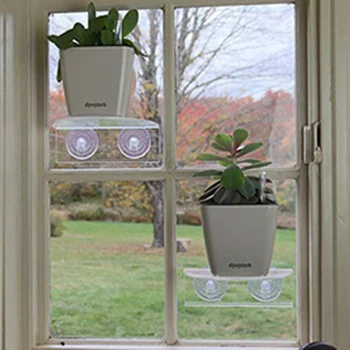 Cutting, Polishing And Tapping Suction Cup Window Frame Plant Ledge Acrylic Display Rack Indoor Garden Display
Cutting, Polishing And Tapping Suction Cup Window Frame Plant Ledge Acrylic Display Rack Indoor Garden Display