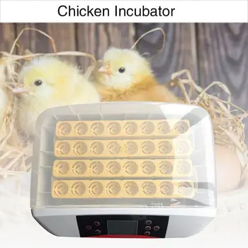 Home Incubator with LED Lighting Ew-12 Automatic Incubator Chicken Duck Goose Bird Hatcher Animal Husbandry 12Eggs
Home Incubator with LED Lighting Ew-12 Automatic Incubator Chicken Duck Goose Bird Hatcher Animal Husbandry 12Eggs