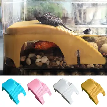 Reptiles Floating Platform With Suction Cups, Turtle Plastic Basking Platform With Ladder Suitable For Small Pets Of All Sizes
Reptiles Floating Platform With Suction Cups, Turtle Plastic Basking Platform With Ladder Suitable For Small Pets Of All Sizes