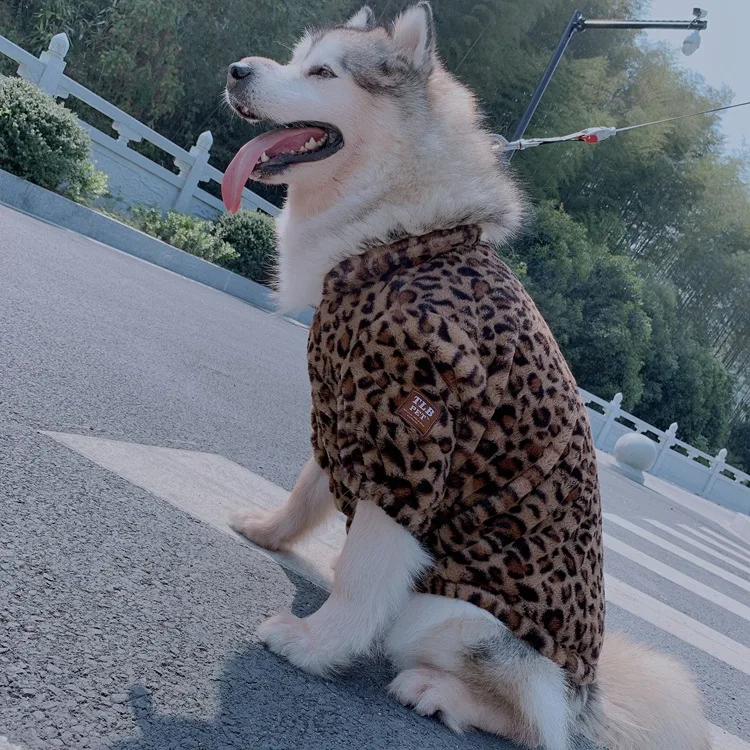 TLB Pet Leopord Pattern Autumn And Winter Coat Teddy Bull Cat Golden Retriever Alaska Dog Clothes Cardigan Feet Clothing
TLB Pet Leopord Pattern Autumn And Winter Coat Teddy Bull Cat Golden Retriever Alaska Dog Clothes Cardigan Feet Clothing