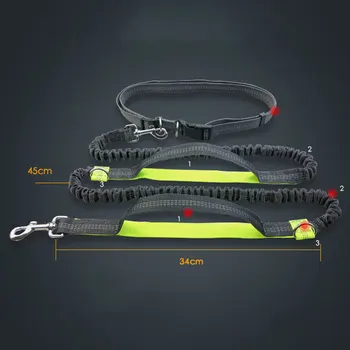 Dog Leash Running belt Jogging Sport Adjustable Dog rope With Reflective Strip Pet Accessories
Dog Leash Running belt Jogging Sport Adjustable Dog rope With Reflective Strip Pet Accessories
