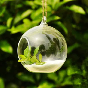 Free Shipping Diameter=15cm Glass Terrarium Vase Home Decoration DIY Micro Landscape Glass Ball Terrarium Friend Gift
Free Shipping Diameter=15cm Glass Terrarium Vase Home Decoration DIY Micro Landscape Glass Ball Terrarium Friend Gift