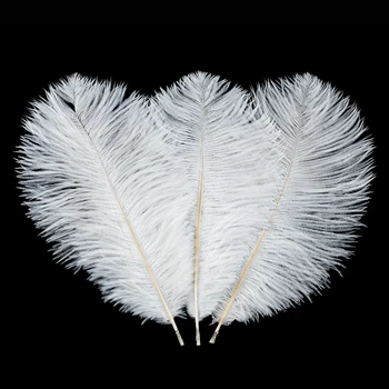 10Pcs White Feather Decoration Gift Box Filling Fashion Hot Sale Gift White Ostrich Feathers Decorations
10Pcs White Feather Decoration Gift Box Filling Fashion Hot Sale Gift White Ostrich Feathers Decorations