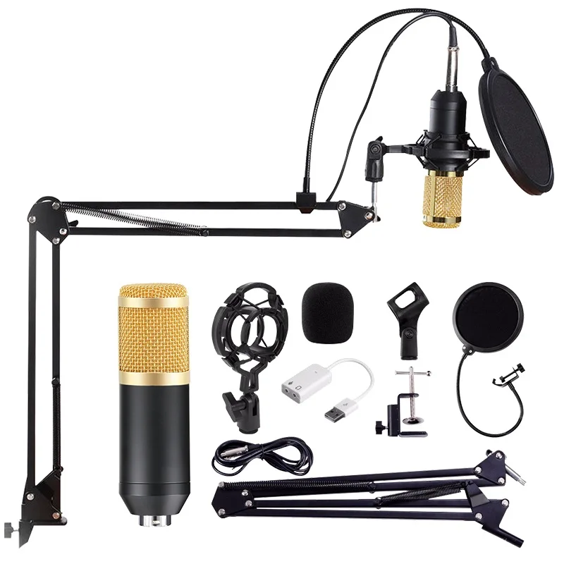 SAMTIAN Microphone BM 800 Mic stand Studio condenser Microphone Vocal Recording KTV Karaoke Microphone For PC Computer
SAMTIAN Microphone BM 800 Mic stand Studio condenser Microphone Vocal Recording KTV Karaoke Microphone For PC Computer