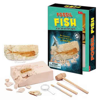 Educational Sand Fish Fossil Excavation Toys Archaeological Dig Toy DIY Assembly Model Toys for Children Kids Gifts Toy
Educational Sand Fish Fossil Excavation Toys Archaeological Dig Toy DIY Assembly Model Toys for Children Kids Gifts Toy