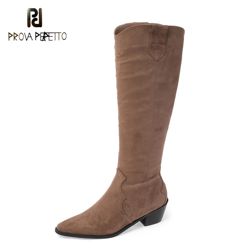 

2021 Autumn and Winter New Pointed Suede Thick Heel Retro High Tube Mid-heel Side Zipper But Knee All-match Boots Women