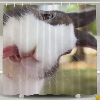Shower Curtain,Cute Rabbit Design Polyester Waterproof Fabric with 12 Rust Proof Hooks,72 X 72 Inches
Shower Curtain,Cute Rabbit Design Polyester Waterproof Fabric with 12 Rust Proof Hooks,72 X 72 Inches