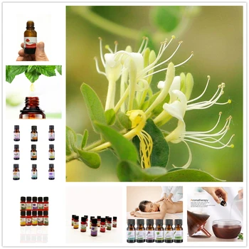 High Quality 10ml Organic Clivia Essential Oil Body Relieve Stress Oil Skin Care Help Sleep Flower Aroma Smell Fragrance Oil
High Quality 10ml Organic Clivia Essential Oil Body Relieve Stress Oil Skin Care Help Sleep Flower Aroma Smell Fragrance Oil