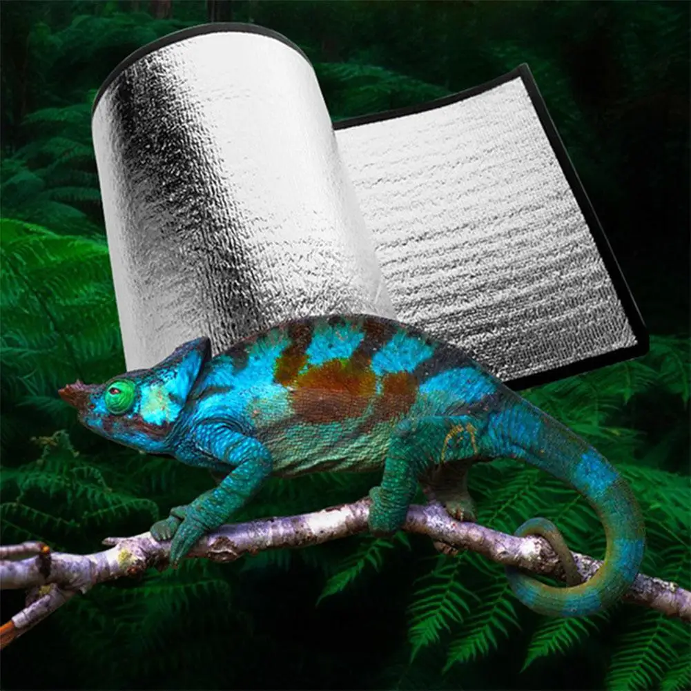 Incubator Reptile Reflective Film Heater Heating Pad Mat for Brooder Incubator Pet Animals
Incubator Reptile Reflective Film Heater Heating Pad Mat for Brooder Incubator Pet Animals