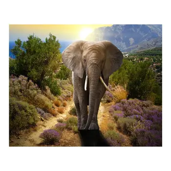 Mountain Elephant Digital Oil Painting By Numbers Canvas Wall Picture DIY Decor
Mountain Elephant Digital Oil Painting By Numbers Canvas Wall Picture DIY Decor