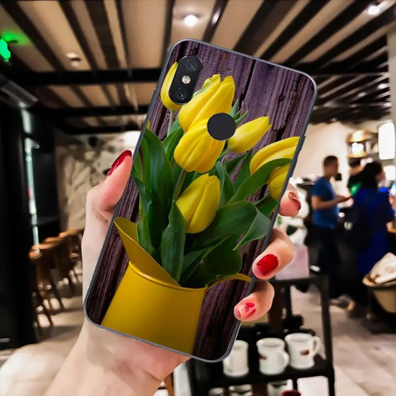 Tulip flower