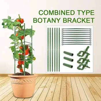 Climbing Plant Support Trellis Stackable Plant Support Bracket Cage Household Chinese Rose Pot Holder
Climbing Plant Support Trellis Stackable Plant Support Bracket Cage Household Chinese Rose Pot Holder