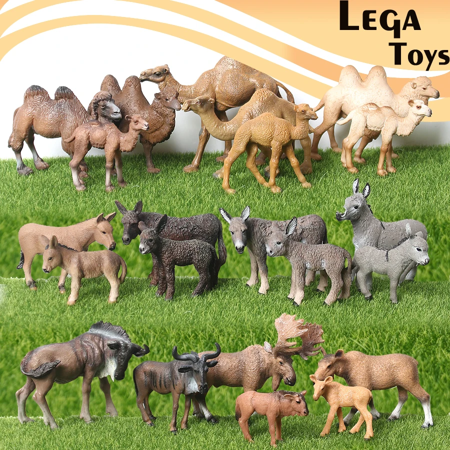 LG
