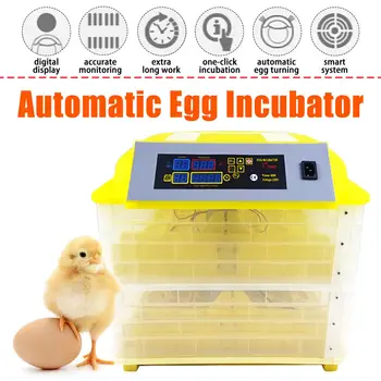 Full Automatic 96 Egg Incubator Brooder Capacity Hatchery Machine Digital Temperature Control Hatcher Chicken Quail Egg
Full Automatic 96 Egg Incubator Brooder Capacity Hatchery Machine Digital Temperature Control Hatcher Chicken Quail Egg