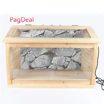 Pet Reptile Habitat Terrarium Background Orange Desert Sky Cactus Rock Stone Image Poster Turtle Backdrop Poster
Pet Reptile Habitat Terrarium Background Orange Desert Sky Cactus Rock Stone Image Poster Turtle Backdrop Poster