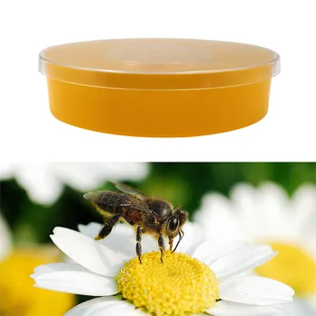 Beekeeping Tool Bee feeder Easy Clean Convenient Large Capacity Non-toxic Honey Equipment Plastic Water Bee Feed
Beekeeping Tool Bee feeder Easy Clean Convenient Large Capacity Non-toxic Honey Equipment Plastic Water Bee Feed