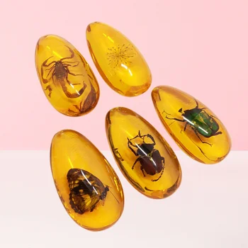 Crystal Amber Fossil with Insects Inside Stones Collection Oval Pendant Insect Stone Natural Inclusion Amber Baltic Pendant
Crystal Amber Fossil with Insects Inside Stones Collection Oval Pendant Insect Stone Natural Inclusion Amber Baltic Pendant