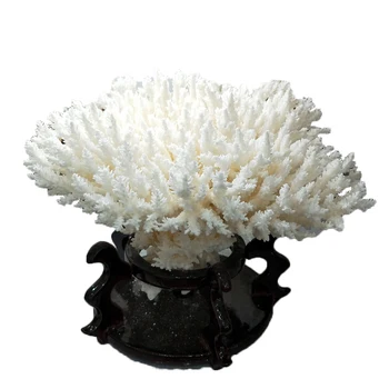 WHITE CORAL NATURAL CRYSTAL STONE CORAL TREE LANDSCAPING FURNISHING ORNAMENTS WEDDING OR HOME DECORATION
WHITE CORAL NATURAL CRYSTAL STONE CORAL TREE LANDSCAPING FURNISHING ORNAMENTS WEDDING OR HOME DECORATION