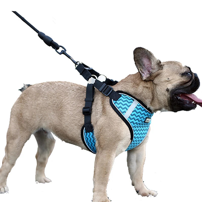 Dog Harness with Leash Summer Pet Adjustable Reflective Vest Walking Lead for Puppy Polyester Mesh Harness for perro
Dog Harness with Leash Summer Pet Adjustable Reflective Vest Walking Lead for Puppy Polyester Mesh Harness for perro