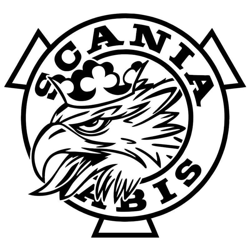Автомобильная наклейка Scania Vabis для мотоциклов бампера заднего лобового стекла