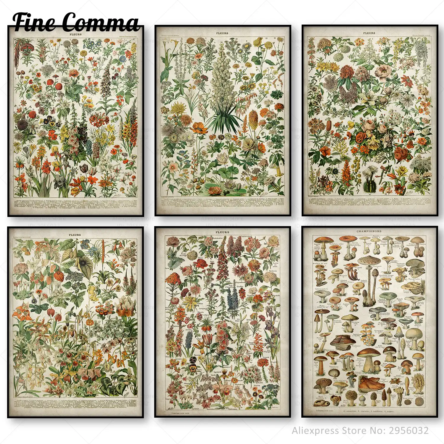 vintage flower poster antique floral canvas print art botanical